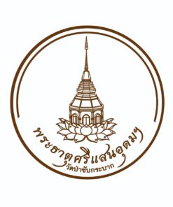 เสื้อยืดเข้าพรรษามหาบุญ - Image 4